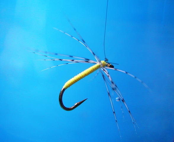 Partridge&Yellow - ponasanje pera pod vodom web