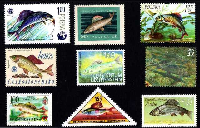grayling stamps 1