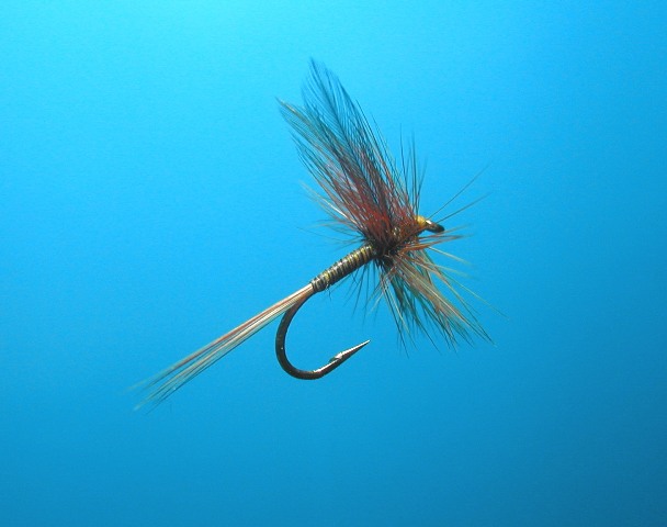 Blue Wing Olive Quill