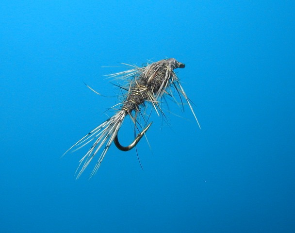 Hares Ear Nymph