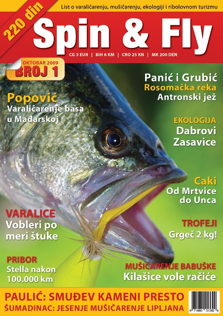 Magazin Spin&Fly