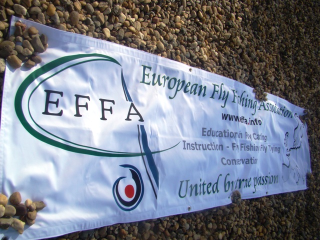 Veljko prezentuje zabacaje EFFA