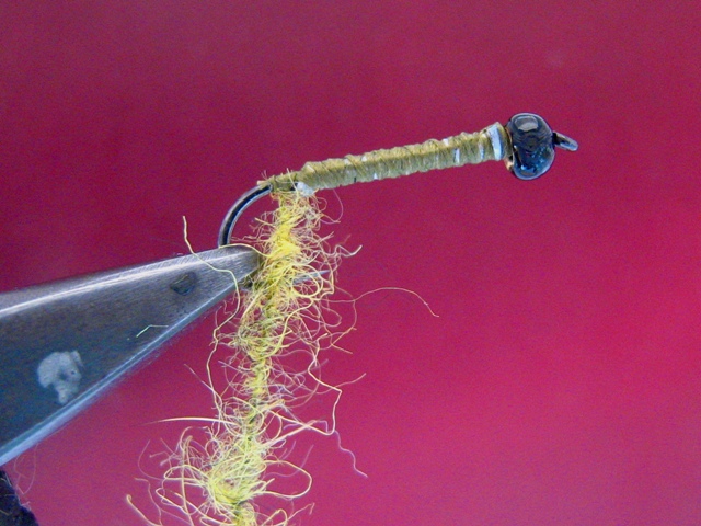 Cupave larve 3 web