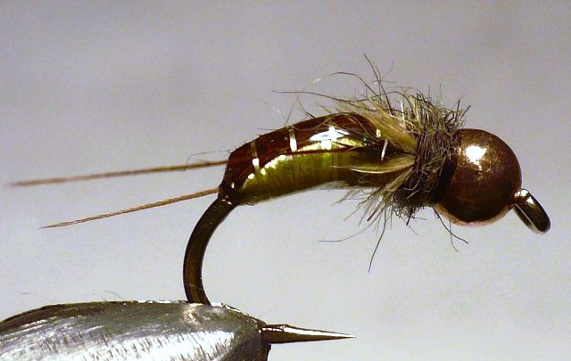 Tungsten – epoxy pupa caddis fly