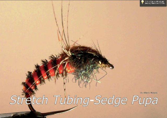 SBS: Stretch tubing Sedge pupa