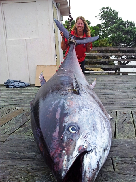 Ogromna tuna