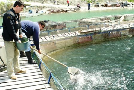 Promocija akvakulture u zemljama bivše Jugoslavije