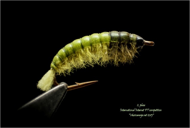 Rhyacophila Larva - Benjamin Mujagić II place