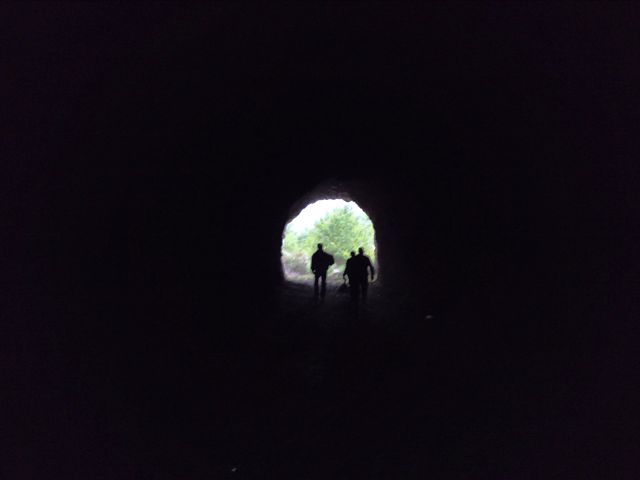 tunel web