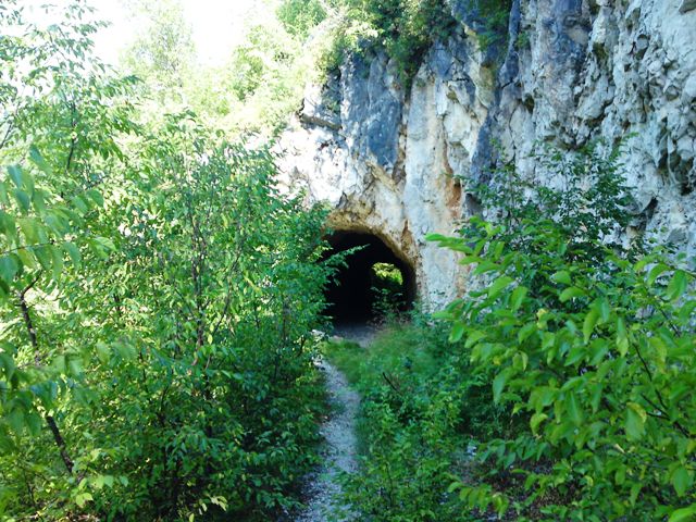 tunel web1
