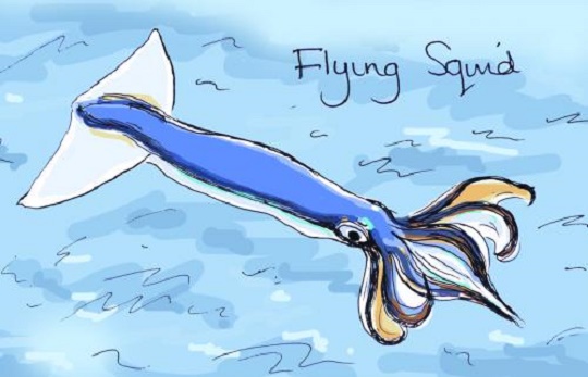 Flying_Squid