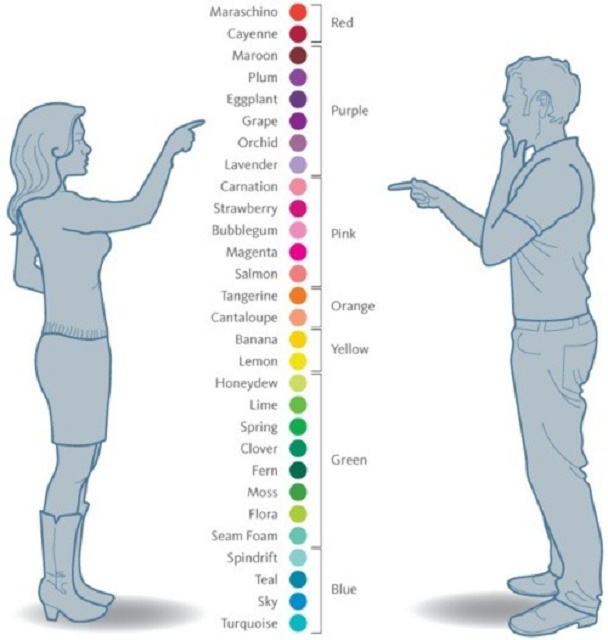 how-women-and-men-see-colors