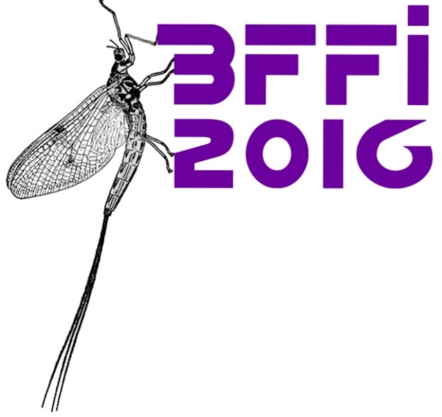 BFFI 2016 British Fly Fair International