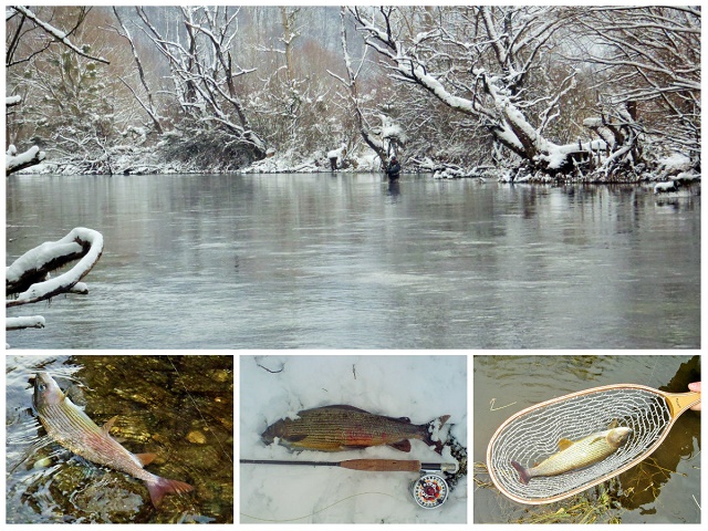 Ribnik – Januarski ribolov