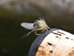 trico-mayfly-dun-dry-emerger-fly