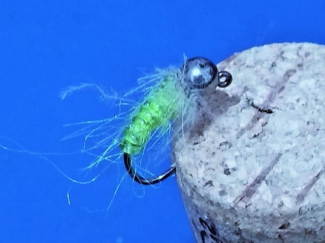 Kedis larva u zelenoj nijansi boje tela na Dohiku udici