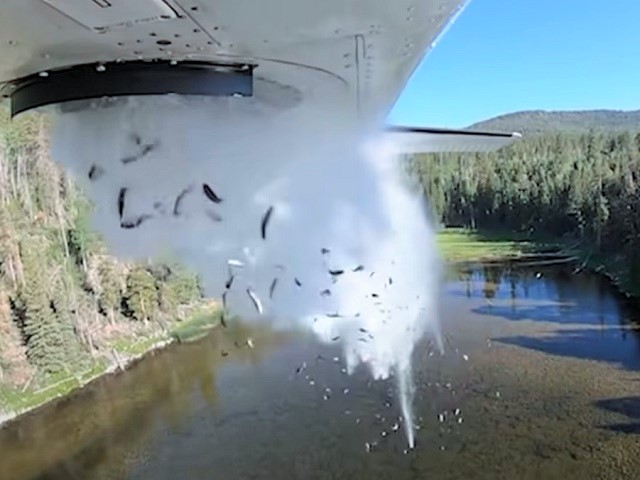 Poribljavanje jezera iz aviona