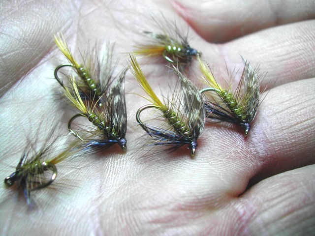 Invicte za kasno prolece na Temskoj web