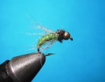 Zlatoglava Zelena lutka web