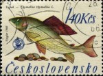 czechoslovakia 1966