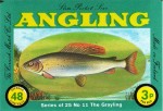 grayling cornish matches