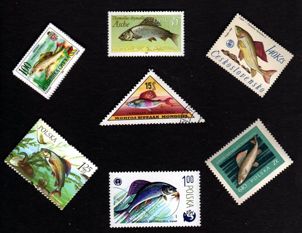 grayling stamps
