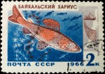 ist2_5325633-post-stamp-with-grayling