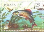 lipljan Polska