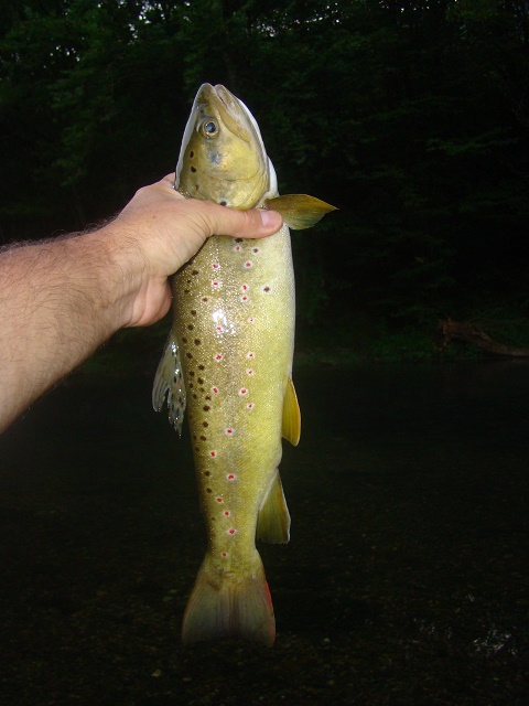 potocara-na-veliku-kamenjarku-1