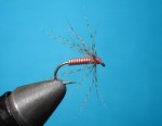 Copper&Partridge.jpg