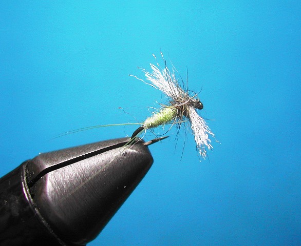 No Hackle Caenis Spinner