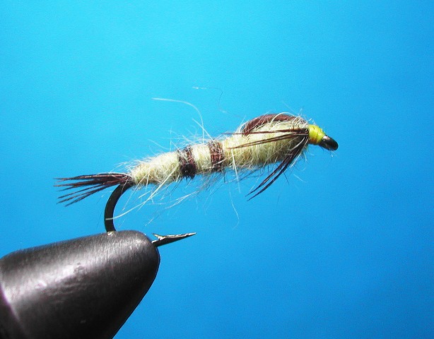 WALKER-may-fly-nymph