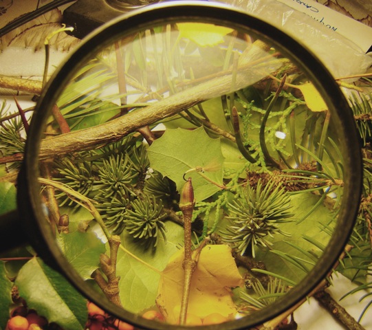 lipljanski-zalogaji-emerger