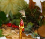 lipljanski-zalogaji-jednodnevka1