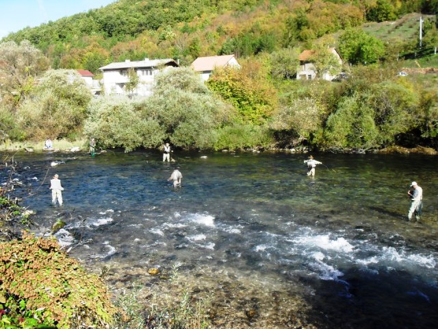 musicari martinbrod 1