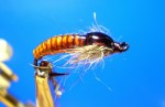 pupa-jovan.jpg