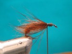 Caddis-pupa-sl.5