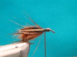 Caddis-pupa-sl.6