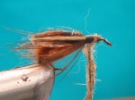 Caddis-pupa-sl.7