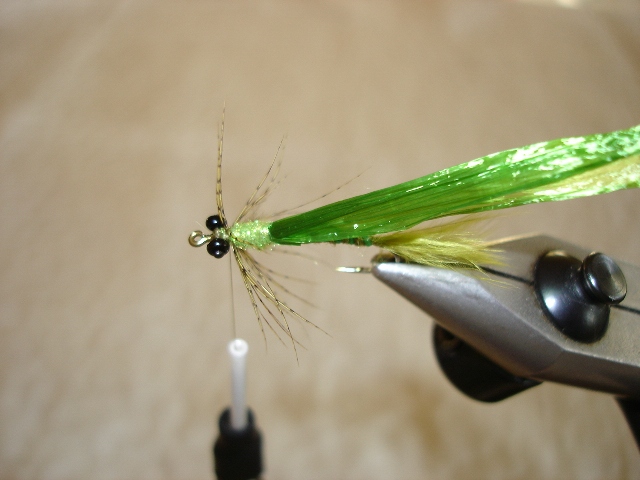 Damsel step6
