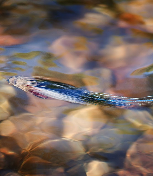 Novi katalozi za 2013.