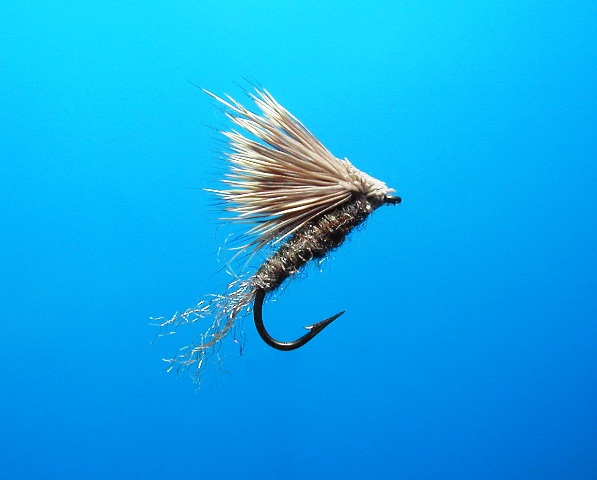 X Caddis