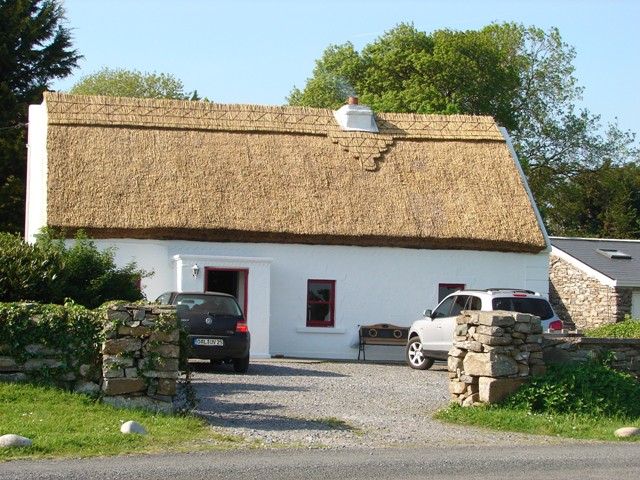 irska kuca 1