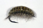 nouveautemillot651117fec857db.jpg