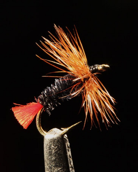 Akiyama Kebari web