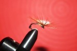 Billede 391