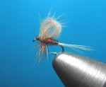 CDC Fazanov rep web