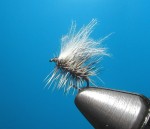 Cluster Midge