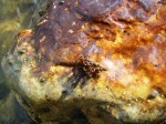 DSC00255 web