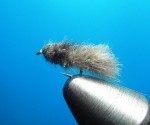 L Caddis – Leon Links web